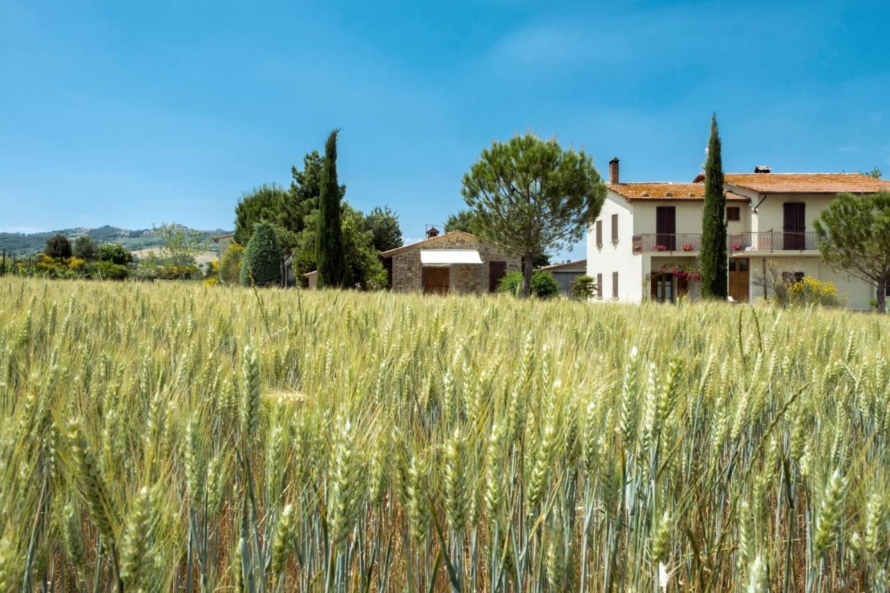 Agriturismo San Marcello กัสตีลีโยเน ดิ ออร์ชา ภายนอก รูปภาพ