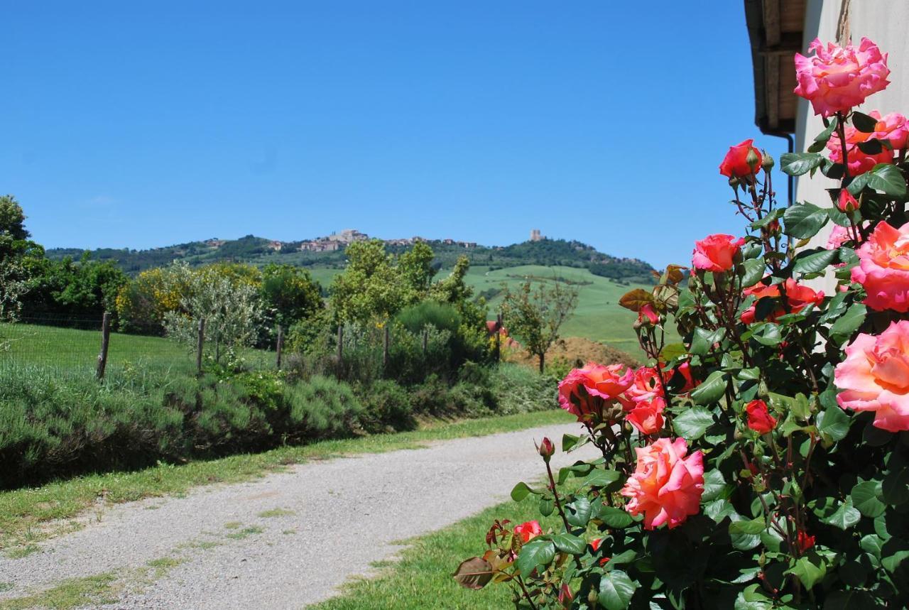 Agriturismo San Marcello กัสตีลีโยเน ดิ ออร์ชา ภายนอก รูปภาพ